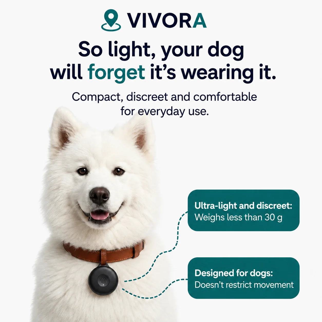 GPS Tracker for Dogs - No Subscription (Android/Apple)